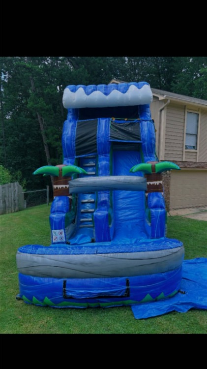 Blue dolphin