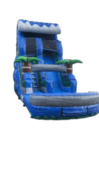 blue dolphin slide 2 removebg preview 1754401010 1 Blue dolphin
