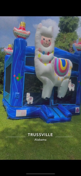Llama bouncer