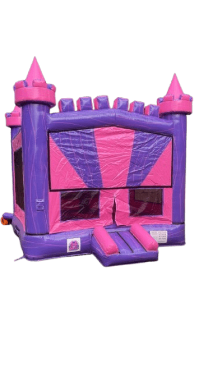 Pink/Purple bouncer