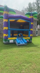 tropical20bounce202 1753843033 1 Tropical bounce