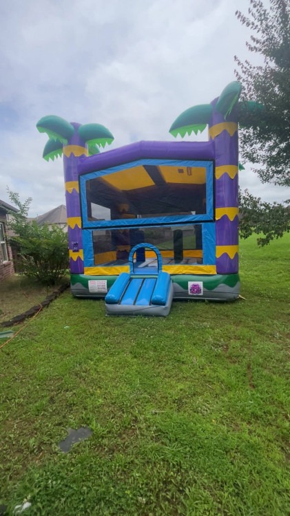 Tropical bounce